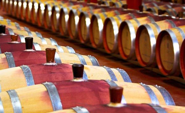 Precious wine maturing in barriques in Penfolds Magill Estate in suburban Adelaide.