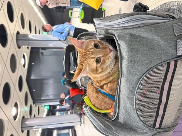 Nico in the train station in the Netherlands. Photo: Catherine Wong