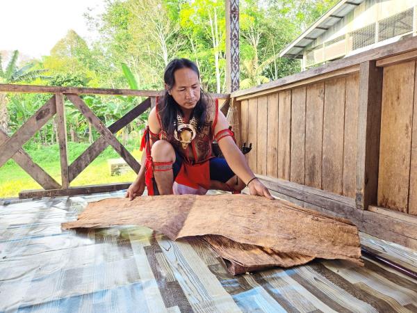 Atum showing a piece of bark-cloth that is ready to be fashio<em></em>ned into a vest.