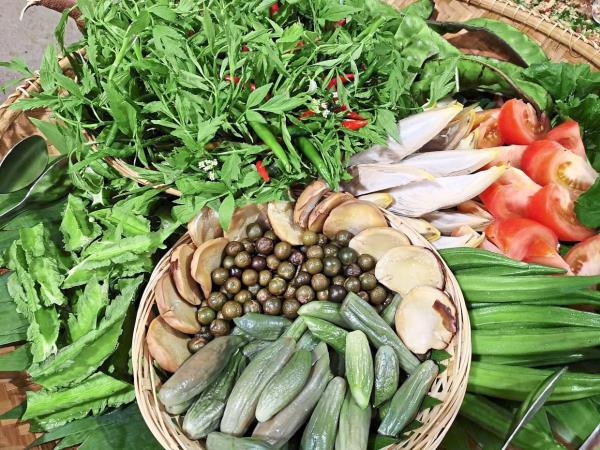 Ulam is used quite widely among the Malay and Orang Asli communities, but many ulam are also being phased out, which means there are a whole generation of Malaysians who don’t know a<em></em>bout them. — FILEPIC
