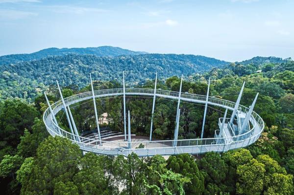 Curtis Crest Tree Top Walk is one of the two elevated walkways set atop Penang Hill. — The Habitat Penang Hill