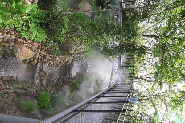 Boulders from Sungai Gombak and Sungai Batu are used to create the man-made river under the Titiwangsa Canopy Bridge.