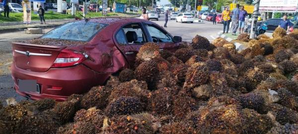 One of the cars which were damaged by the falling oil palm fruits