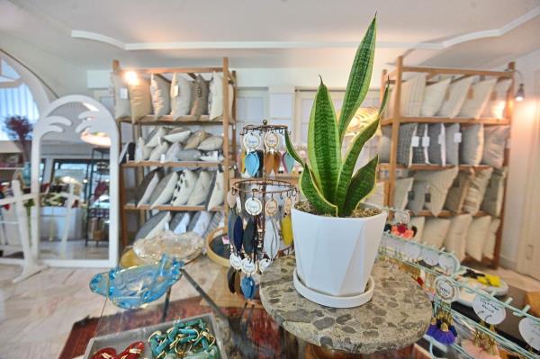 Perso<em></em>nal touches like house plants give this retail space a homely feel.