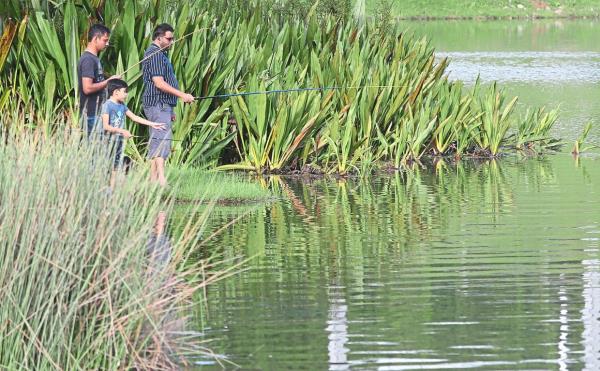 Old mining ponds are known for their sudden and deceptive drop-offs, so prioritising safety when approaching these bodies of water is important.