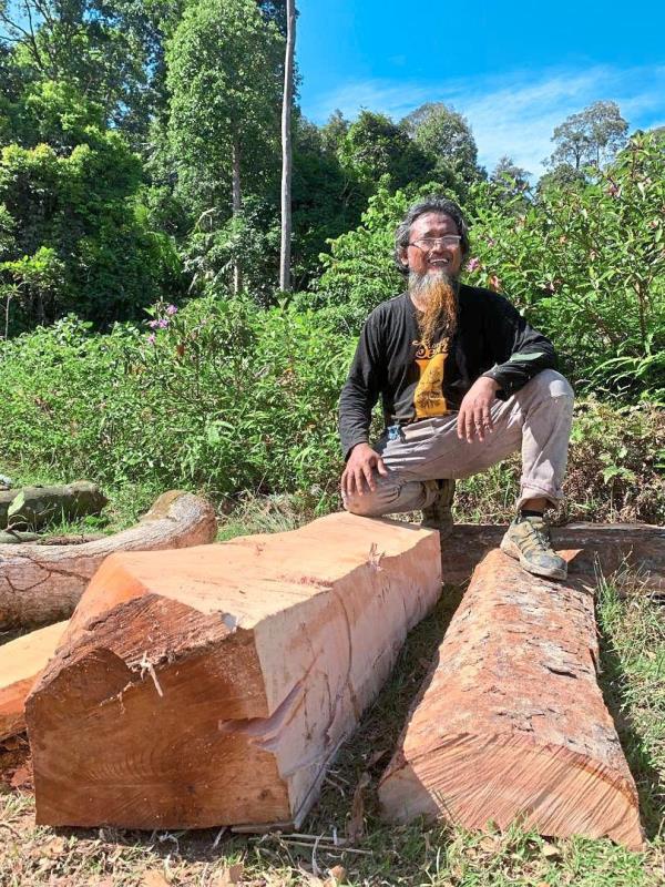 Daud took a<em></em>bout eight mo<em></em>nths to create the wood sculptures for the 'Sharpening The Imagination' show. Photo: Handout