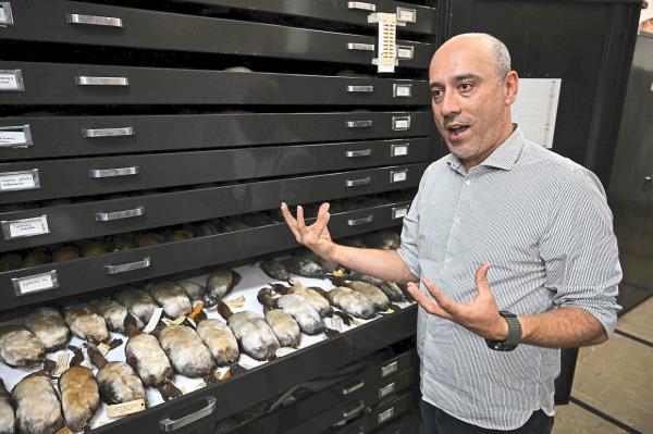 Cuervo showing embalmed birds at the scientific research laboratory of the Natio<em></em>nal University of Colombia in Bogota. 