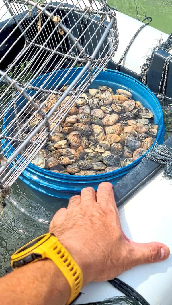 独自划水时遇到渔夫可能会让你大饱眼福
