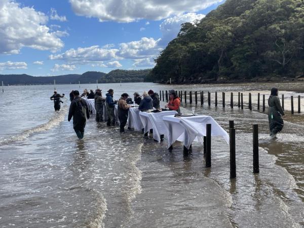 Visitors to the Sydney Oyster Farm Tour, organised by Beaumont, enjoy an oyster lunch in the waters of the Hawkesbury River.