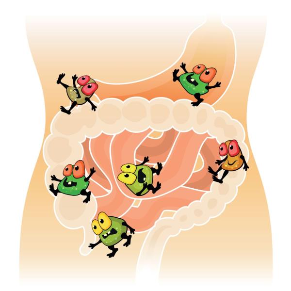 Good gut health helps your child’s body to properly digest food and absorb nutrients that are essential for growth. — Positive Parenting