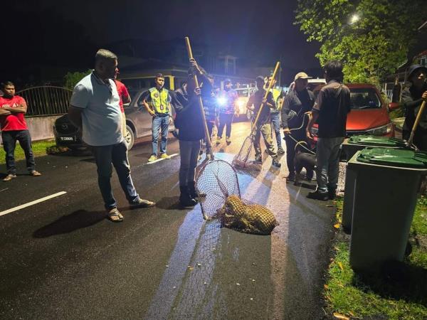 Negri Sembilan local government development, housing and transport committee chairman J. Arul Kumar (left) observing a dog catching operation in Mantin on Wednesday night.