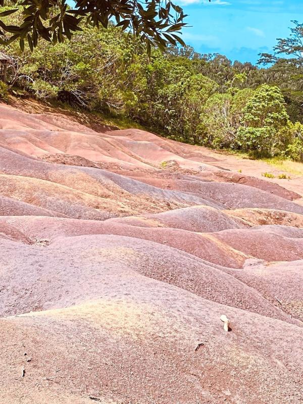 These coloured rocks are geological wo<em></em>nders of Mauritius.