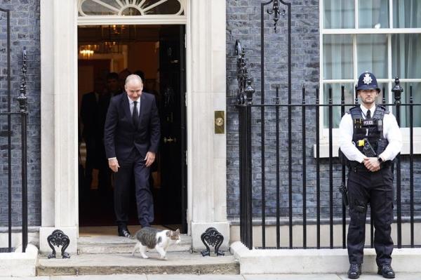 Irish PM Micheal Martin looking at Larry the cat as he leaves 10 Downing Street after a meeting with then British PM Liz Truss in 2022. — STEFAN ROUSSEAU/PA Wire/dpa
