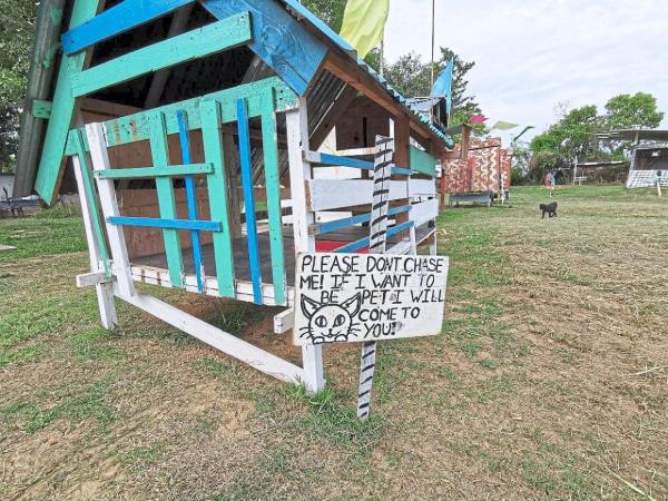 Meow Island has over 90 feline residents. — Visit Pahang