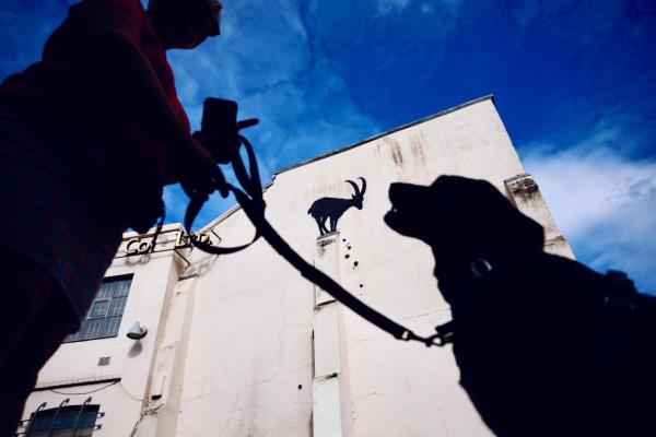A person and dog standing near a stencilled Banksy artwork, depicting a mountain goat and falling rubble at the top of a pillar, on the side of a building in Kew Gardens, west Lo<em></em>ndon on Aug 5. Photo: AFP 