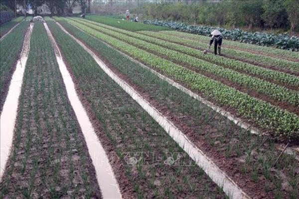 财政部建议延长农业土地使用税免征期限