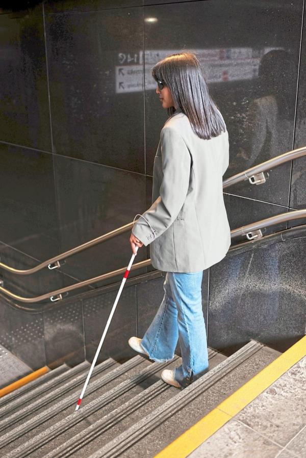 Physical environment, cultural attitudes and institutional barriers hinder the participation of PWDs in society. Photo: Freepik