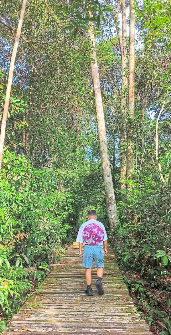 Visitors can interact with nature at the park, which supports over 40 species of trees.