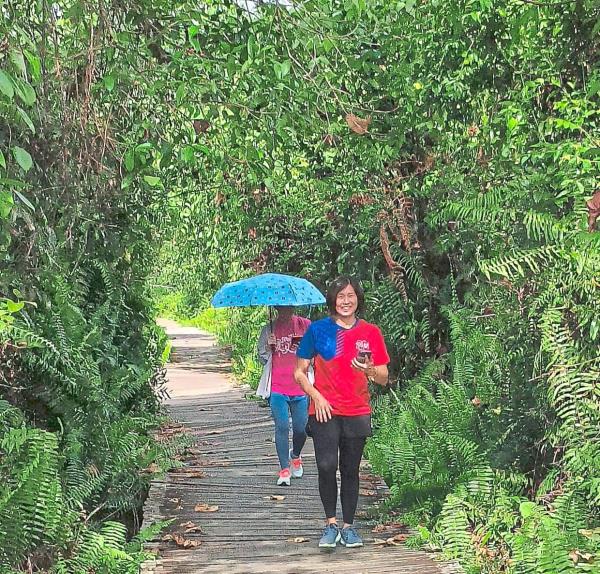 The park has forest trails for hiking and jogging.