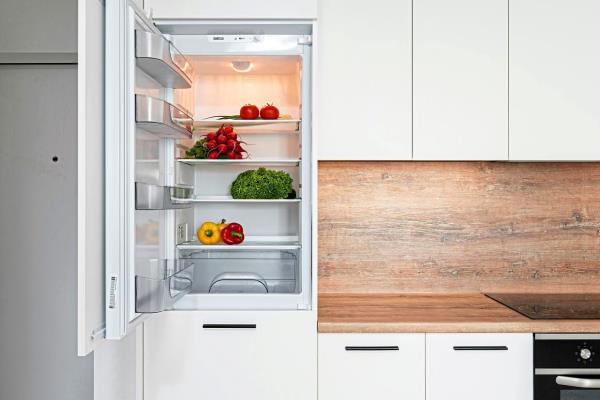 In the resilient adaptation model, humankind has to rely on science and technology in order to eat. Part of the imagined future involves the idea that there may exist smart fridges that can extend the shelf life of ingredients and even ferment produce. — HEYHO/Pexels