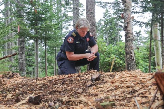 A woman in a blue uniform kneels in a wooded area and picks up wood chips.