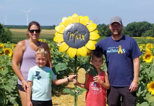 sunflowers