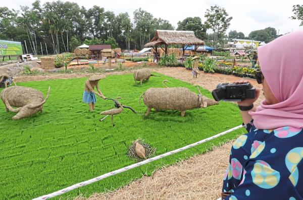 A visitor recording footage of MAHA 2024’s Laman Padi exhibit at MAEPS, Serdang. — SAMUEL ONG/The Star