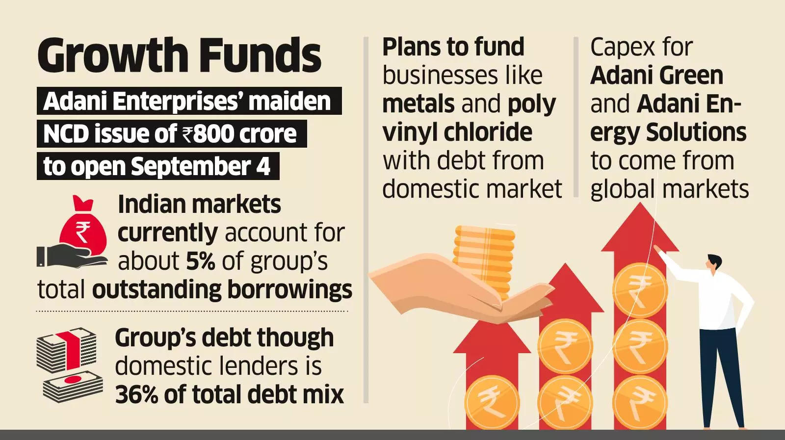 Adani Group Can Double Local Debt Exposure: CFO