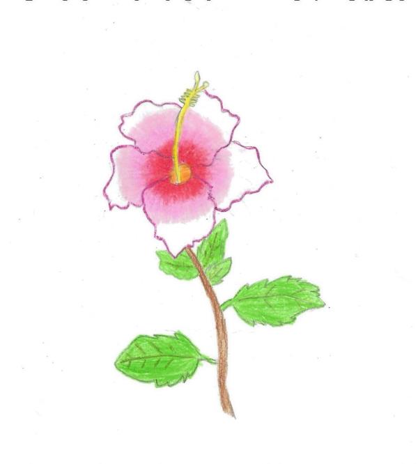 Wong Jie Ern, 8