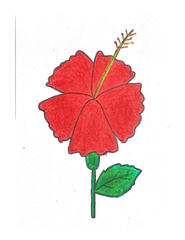 Dya Mehr Kaur, 5