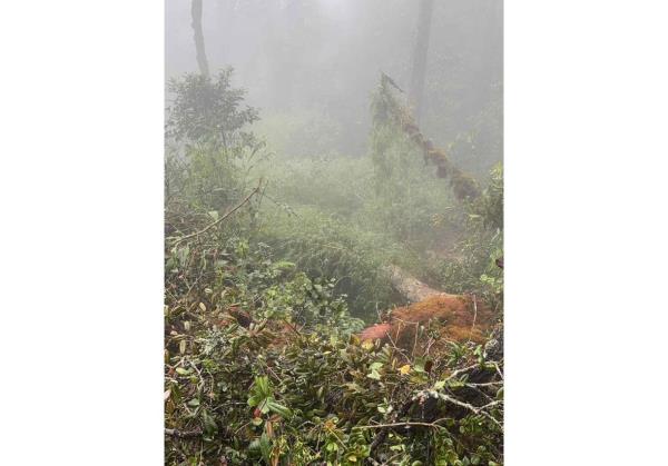 金马仑高地远足路线重新开放，除古农伊劳路线外