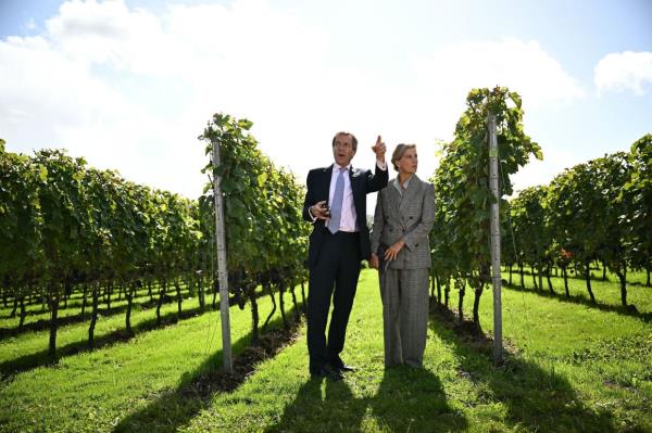 Britain's Sophie, Duchess of Edinburgh (R) and co-founder of Domaine Evremond, Patrick McGrath (L) tour the vineyards of Domaine Evremond in Chilham, in south east England. – Photo: Ben STANSALL/ AFP