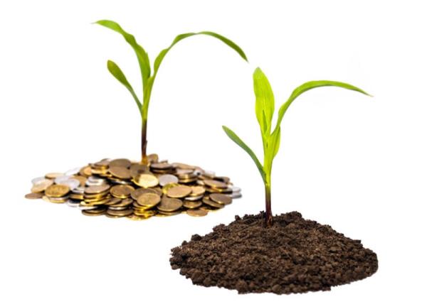 farm seed soil grow wealth mo<em></em>ney coin