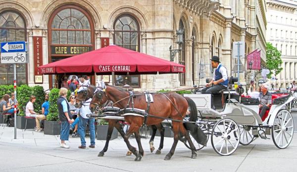 Discover the sights and ico<em></em>nic coffee houses of historic Vienna in a fiacre or horse carriage.
