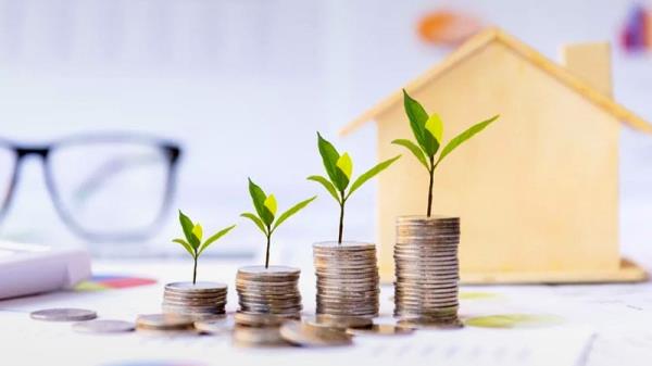Capital Growth