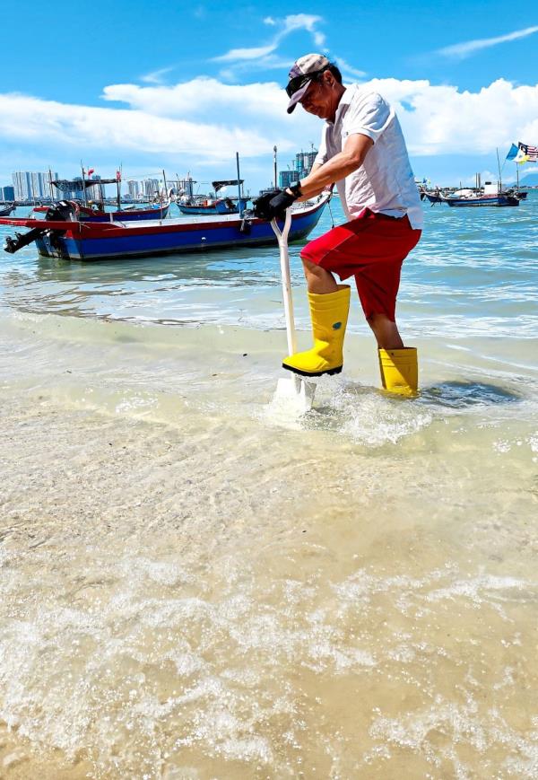 Shovel deeply into sand wher<em></em>e the waves are a few inches deep and you might find sandworms in there.