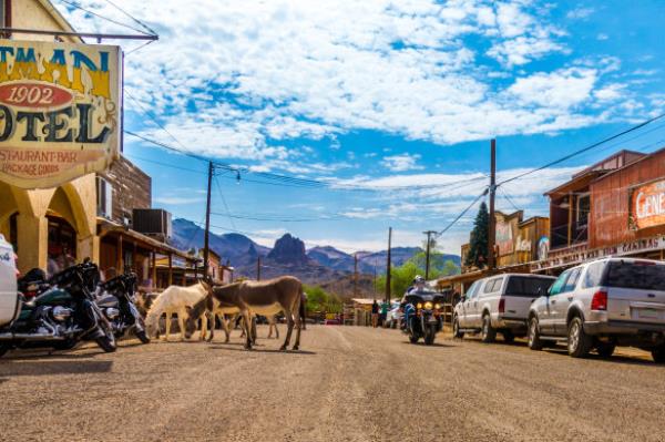 Oatman, Arizona is a former gold town.