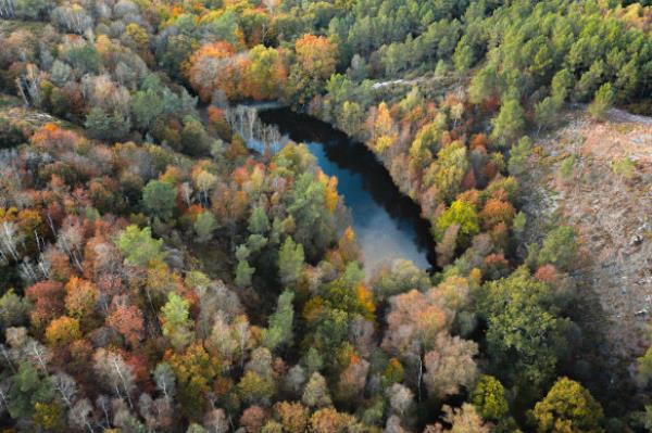 Broceliande forest is co<em></em>nnected by King Arthur’s legend to sites in Cornwall and Wales.