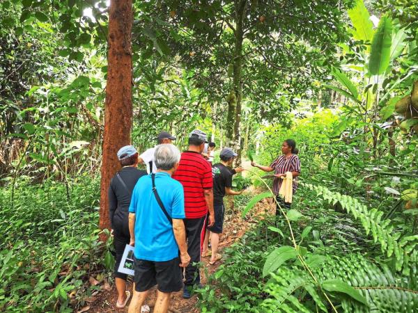 Foraging for suitable plants with a Temiar guide, to be used in the natural dyeing workshop.