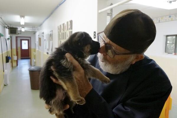 Brother Luke, an Orthodox Christian monk, holds a five-week-old German shepherd puppy from the latest litter in the dog breeding program that for decades has provided both financial and spiritual support to the New Skete mo<em></em>nastery outside Cambridge, N.Y., on Oct. 12, 2024. (AP Photo/Giovanna Dell’Orto)