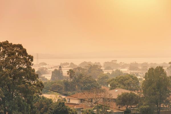 A Sydney suburb in a haze of smoke, December 2019. The sun can barely be seen through the smoke. 