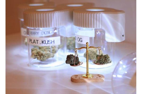 legalization