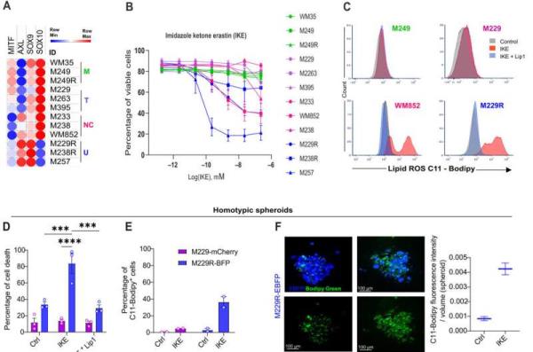 A new era of treating neurological diseases at the blood-brain-immune interface