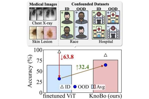Training medical AI with knowledge, not shortcuts