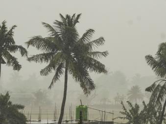 Cyclone Dana is expected to make landfall between Bhitarkanika Natio<em></em>nal Park and Dhamra port in Odisha early Friday, with wind speeds reaching up to 120 kilometres per hour. (Representatio<em></em>nal image)