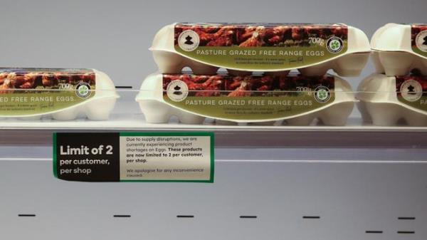 EGG SHORTAGE