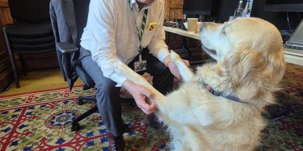 她的国会议员说，导盲犬珍妮计划成为“o-paw位置的领导者”