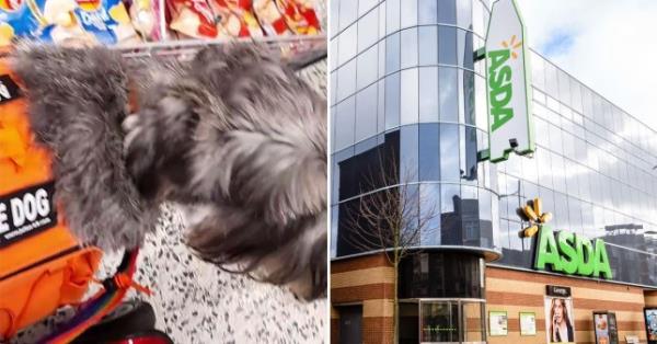 Disabled woman's dog and picture of Asda store.