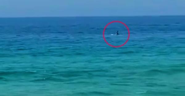 Police are hunting two tourists who were seen havin<em></em>g sex on a paddle board in Thailand.The couple were floating around 100ft from the shore when they stripped off and began romping on Karon Beach in Phuket on April 7.?PACKAGE: Video, video stills, text