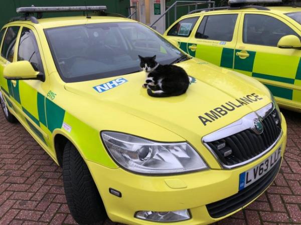 Defib has lived at Walthamstow Ambulance Station for 15 years 